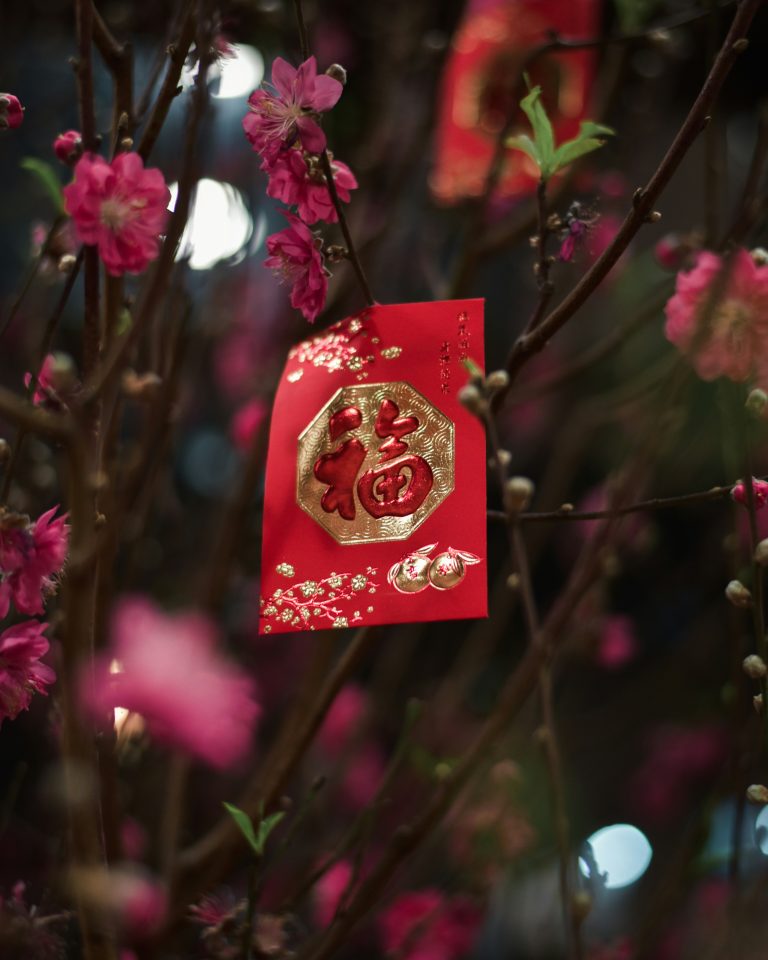 Happy Lunar New Year!